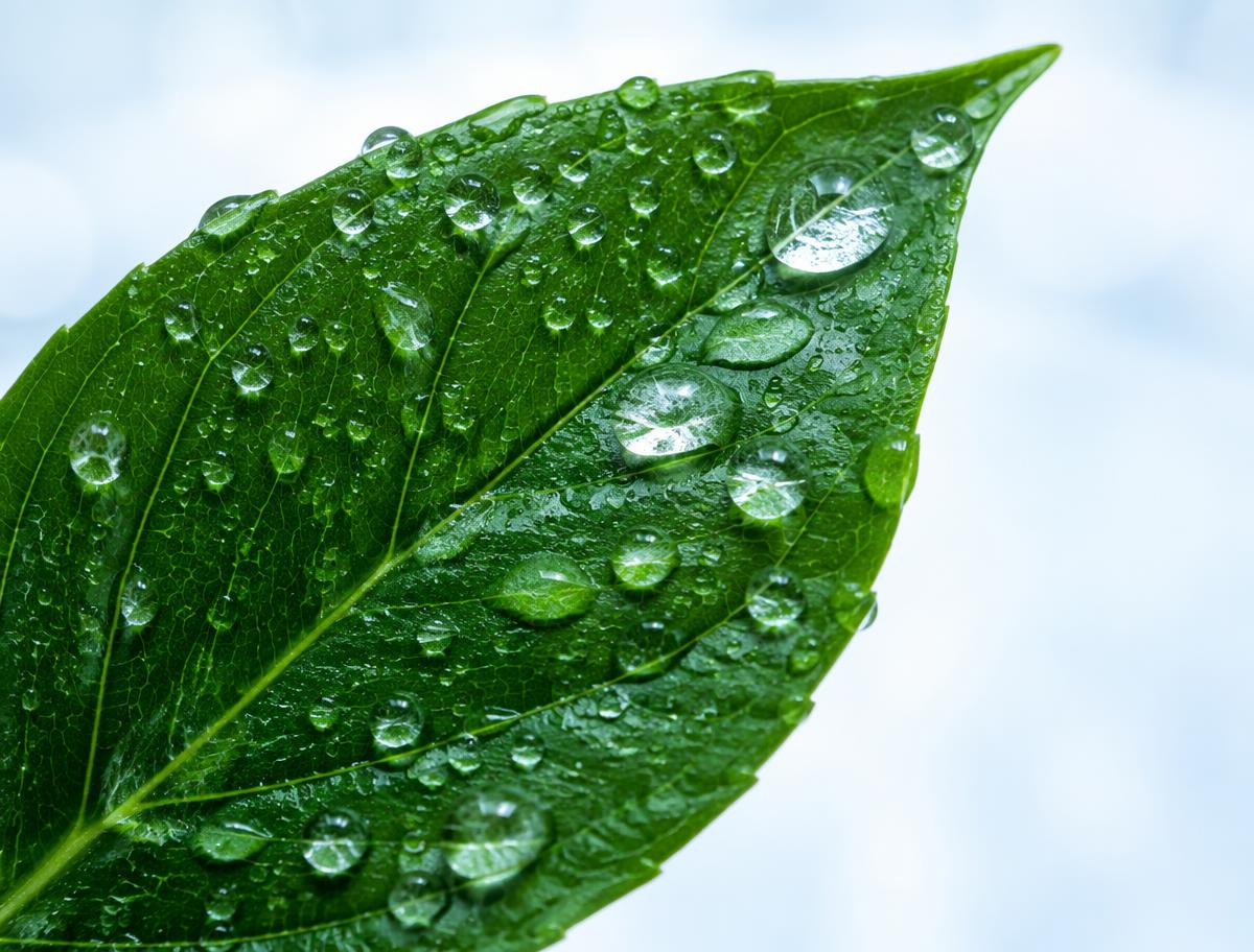 The Science of Lasting Hydration